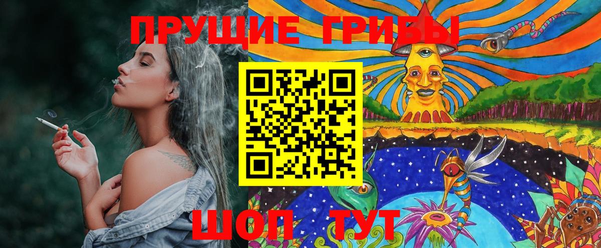 Псилоцибиновые грибы Psilocybe Элиста
